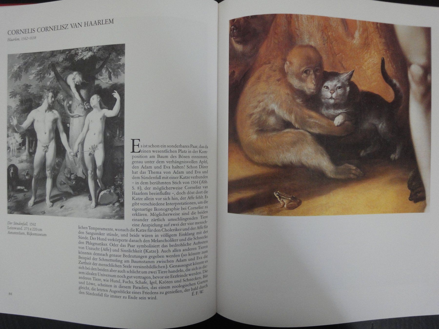 Libri: Die Maler und die Katzen / Foucart-Walter, E. – Nuovo (secondo la descrizione) da Biel/Bienne venduto da 07helios032 5