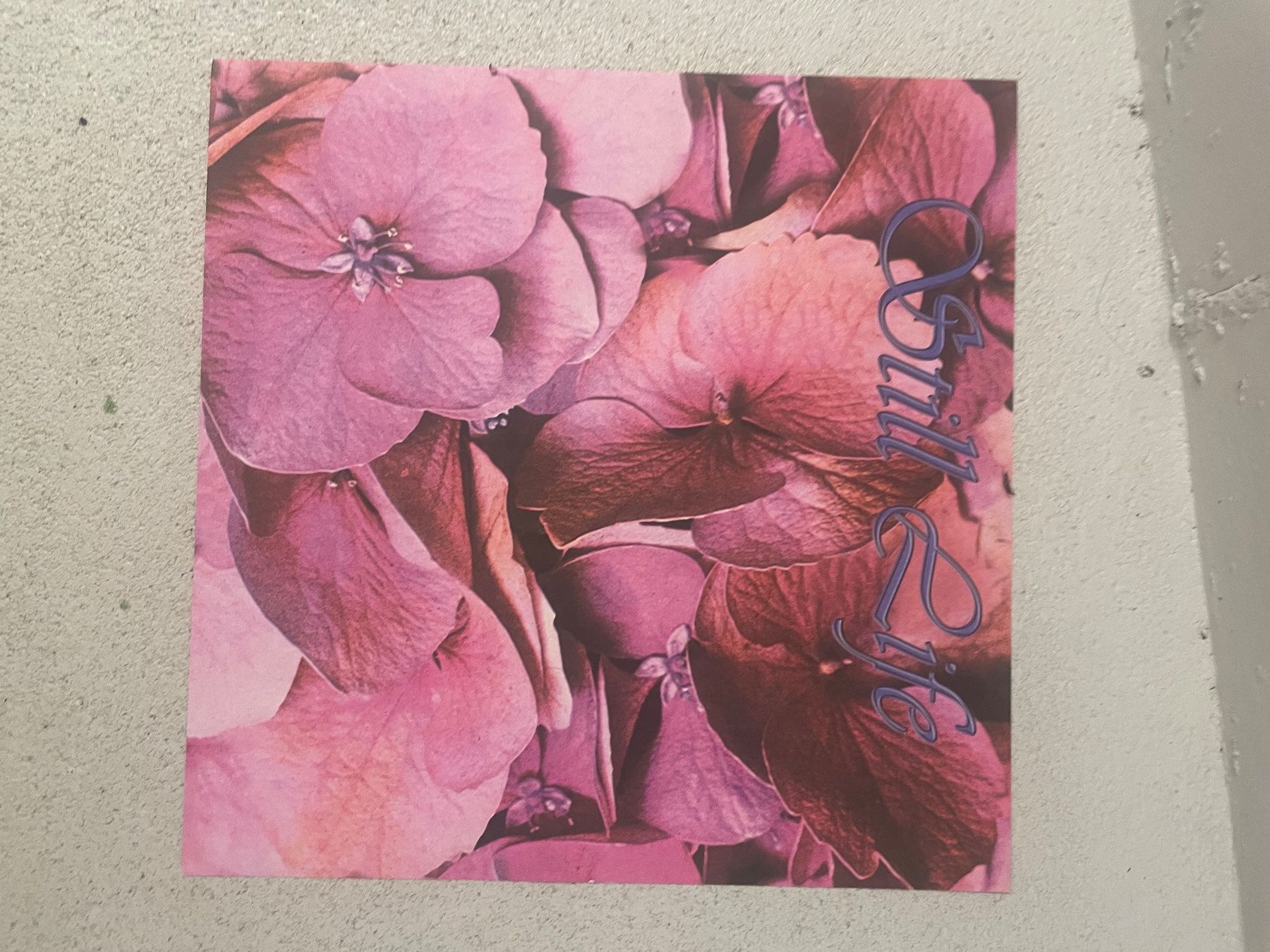 Dischi in vinile: Still Life LP – Usato da Winterthur venduto da Tumko-Vinyl 2