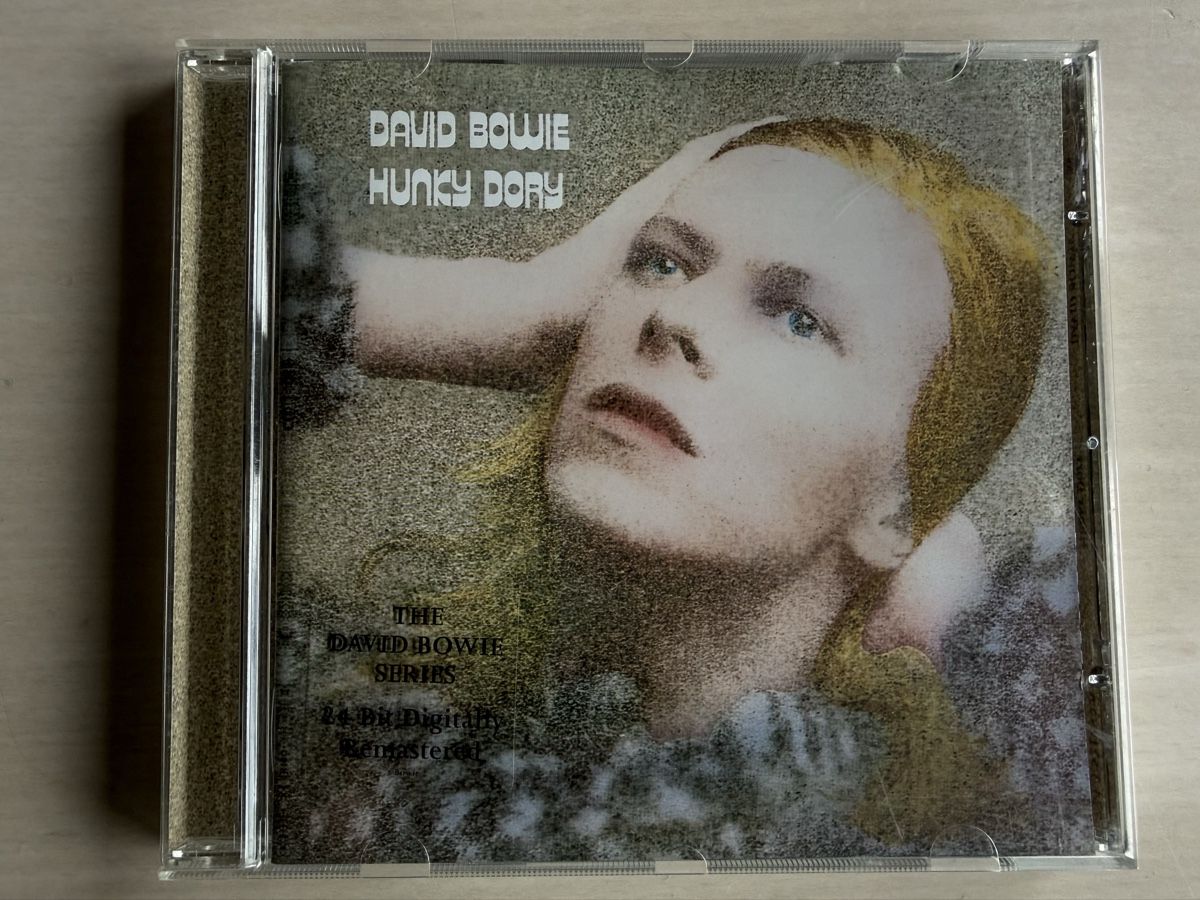 CD: David Bowie Hunky Dory CD Digital Remaster 1999 – Usato da Oberried Brienz venduto da Chyara