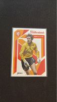 Sammelkarte - Edwin van der Sar - Niederlande - DAKA