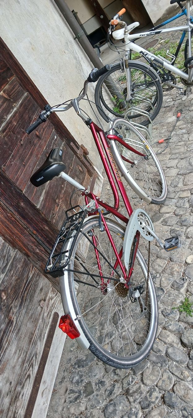 Cilo Velos: Cilo city velo RUBI – Gebraucht aus Adliswil von trujillo01 6