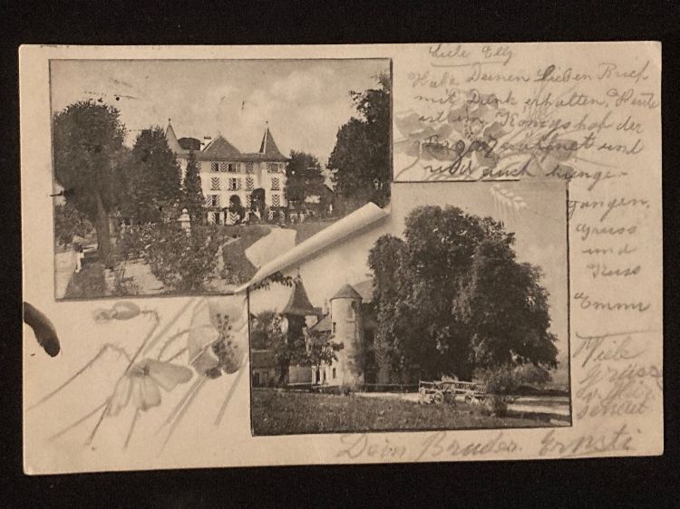 Cartoline postali: antike Postkarte  - AK  -1906 – Usato da zürich venduto da papalapa