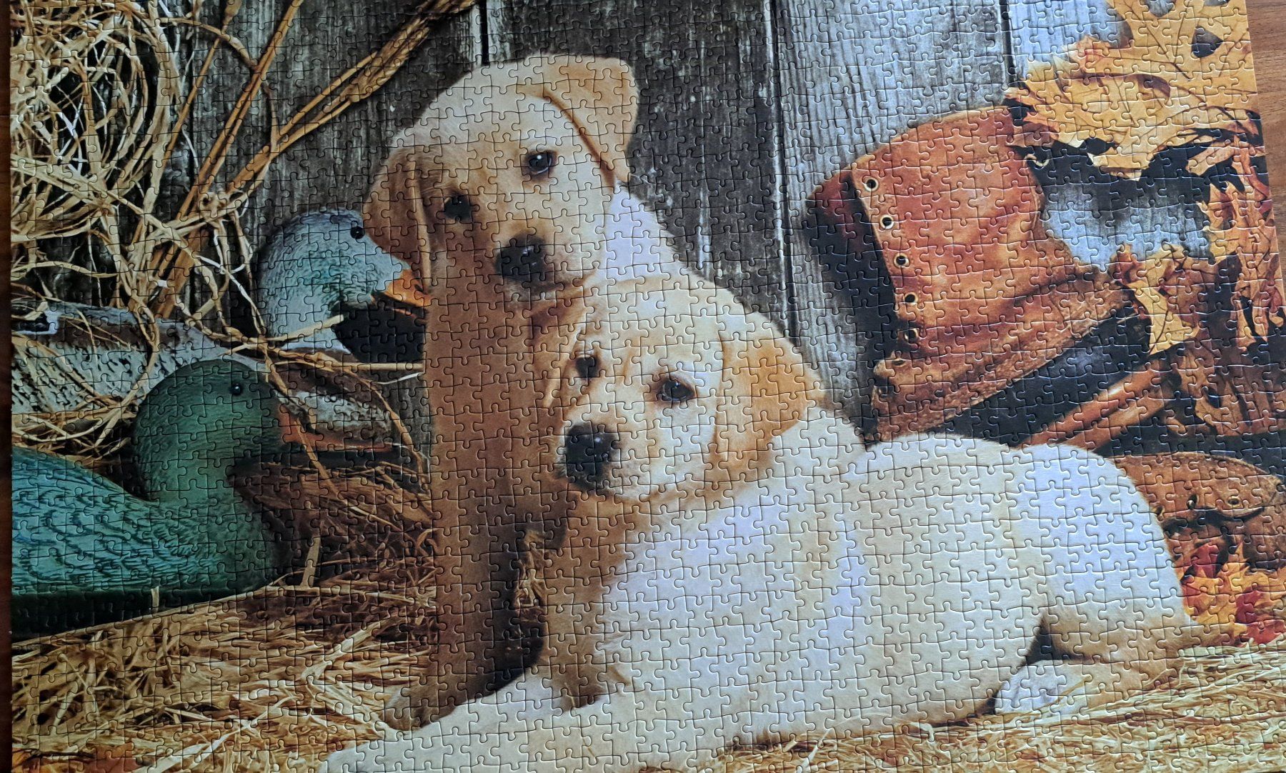 Clementoni Puzzle: Puzzle 1500 Teile – Usato da Arbon venduto da Hiddl 1