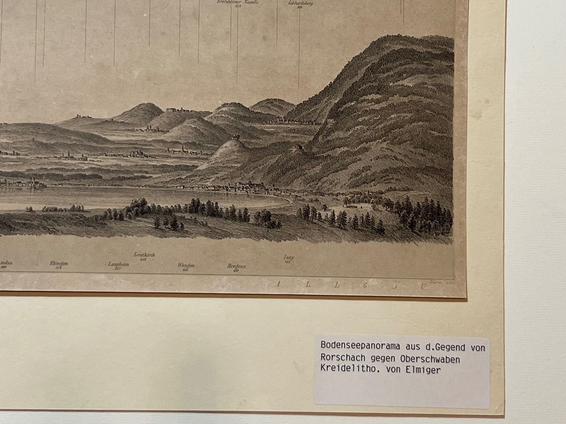 Cartine & Atlanti: Bodensee Panorama von Rorschach Lithografie von Elmiger – Usato da Vaduz venduto da Unikate-Markt 1