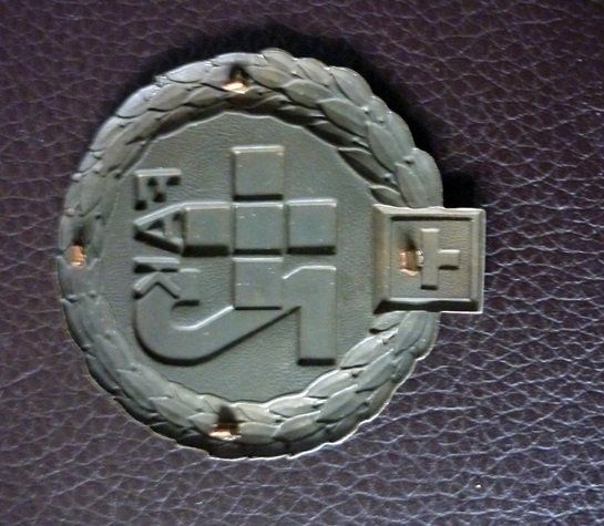 Schweizer Armee Uniformi: 2 Schweizer Armee Beret Embleme - Béret Emblem – Difettoso da Adliswil venduto da di_hans 6