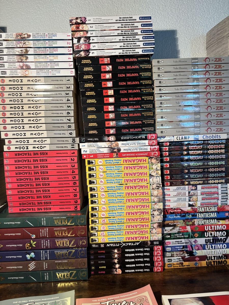 Fumetti: Grosse Manga-Sammlung 209 Bände  – Usato da Jonen venduto da Sschriber 3