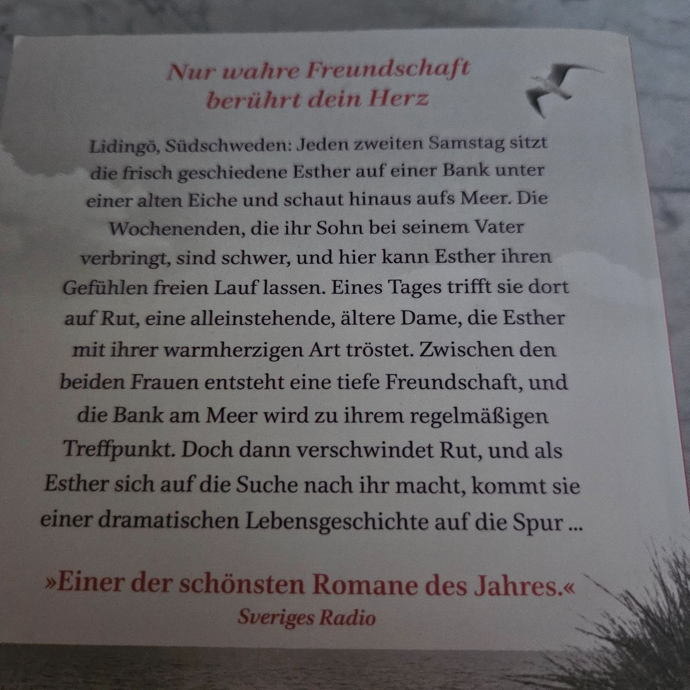 Libri: Sofia Lundberg - Wo wir uns trafen - Roman .. – Usato da Uster venduto da Sonnenblume212 2