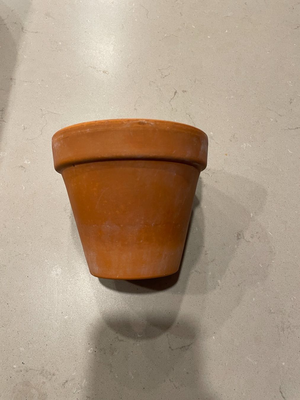 Vasi per fiori: 20 Stk. Terrakotta Blumentöpfe Durchmesser 11.5cm – Usato da Kilchberg ZH venduto da xelion 2