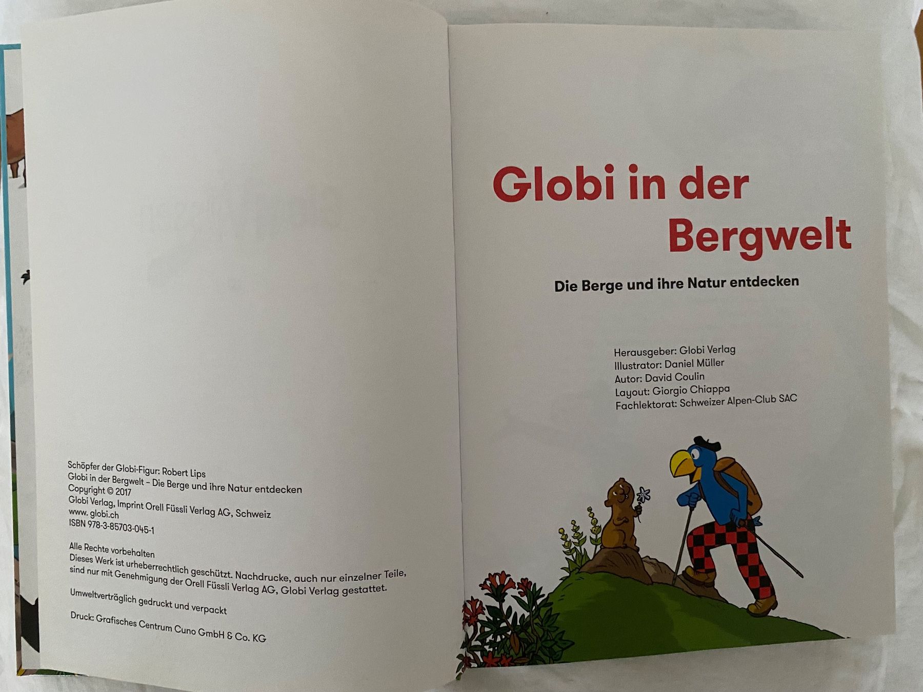 Libri: GLOBI IN DER BERGWELT UNBEMALT – Usato da Zürich venduto da Fashionparade 1