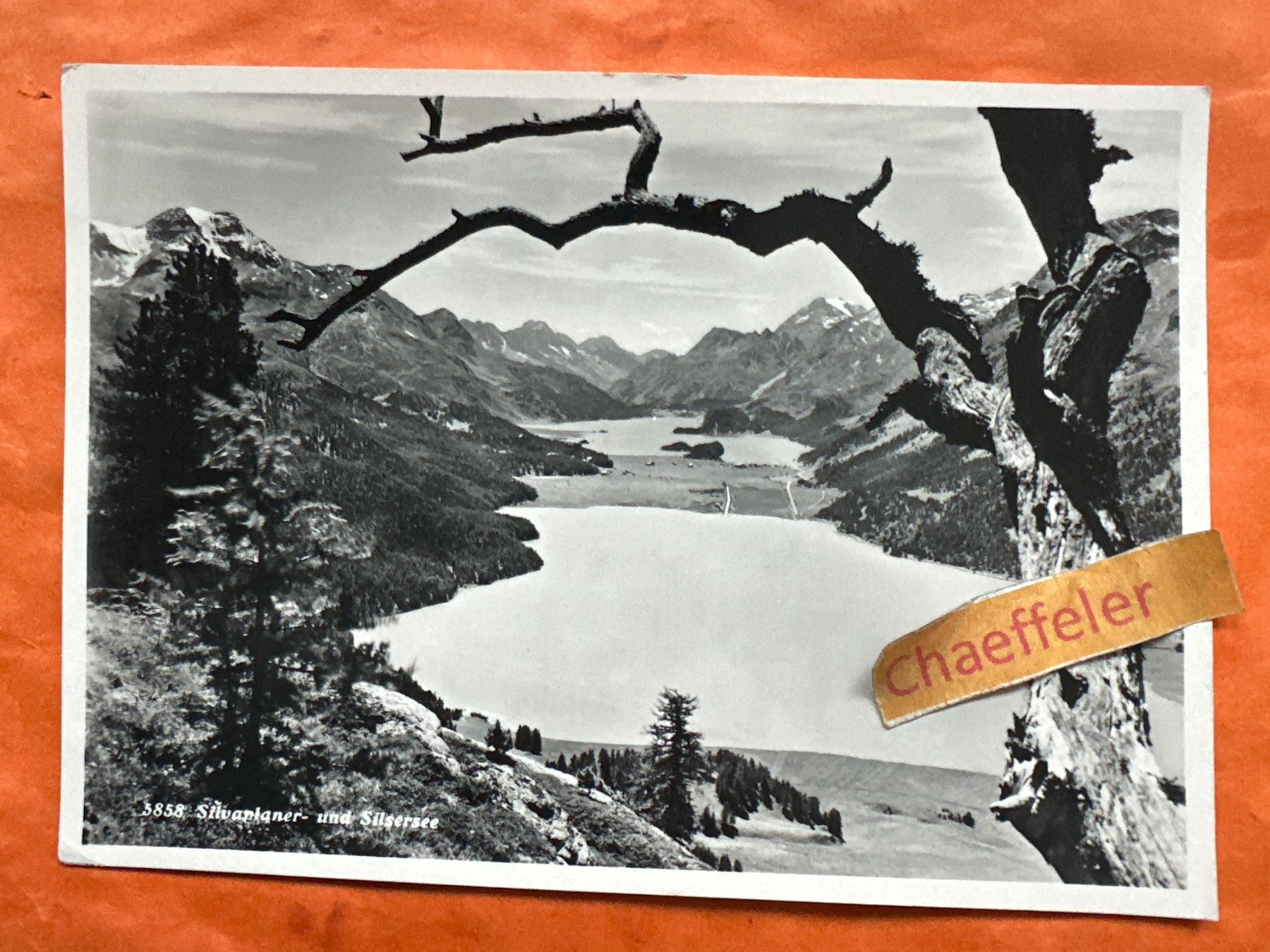 Cartes postales: 1949  Silvaplanersee, und Silsersee, Graubünden – D'occasion à Zürich par Chaeffeler