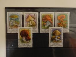 Ungarn Satz Pilze gestempelt von 1988