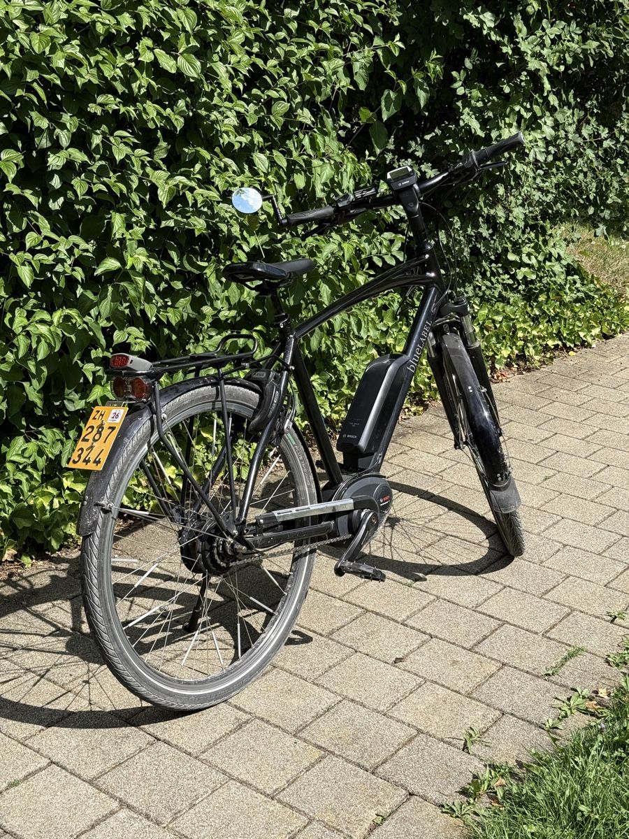 Riese & Müller Biciclette: Riese & Müller e-Bike Blue Label, Modell 2014 2x Akku – Usato da Urdorf venduto da noelfaris 1