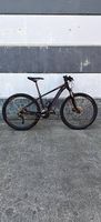 Orbea