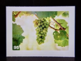 MIGROS MANIA Nature Detectives Nr. 95