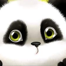 Profile image of Wikko