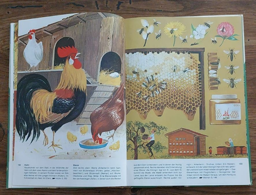 Libri: Das grosse Bilderlexikon, Kinderlexikon mit Farbbildern – Usato da Ebikon venduto da henry76 1