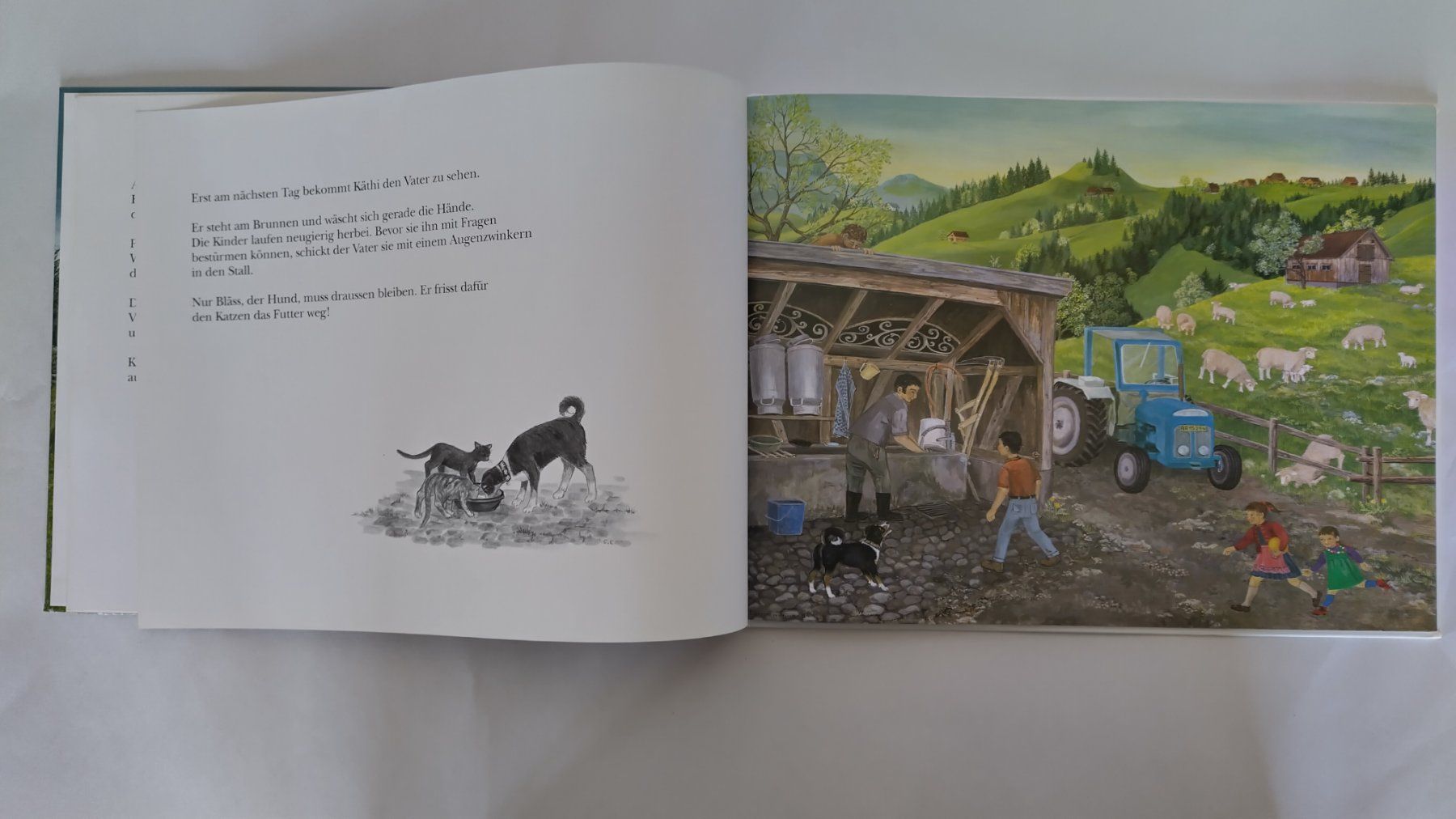 Libri: Flöckli, das Geisslein-Lilly Langenegger / Bilderbuch – Usato da Bellach venduto da JingleJerry 4
