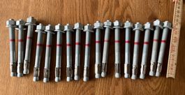Ankerbolzen HST3 50/30 17Stk M 12 Landwirtschaft