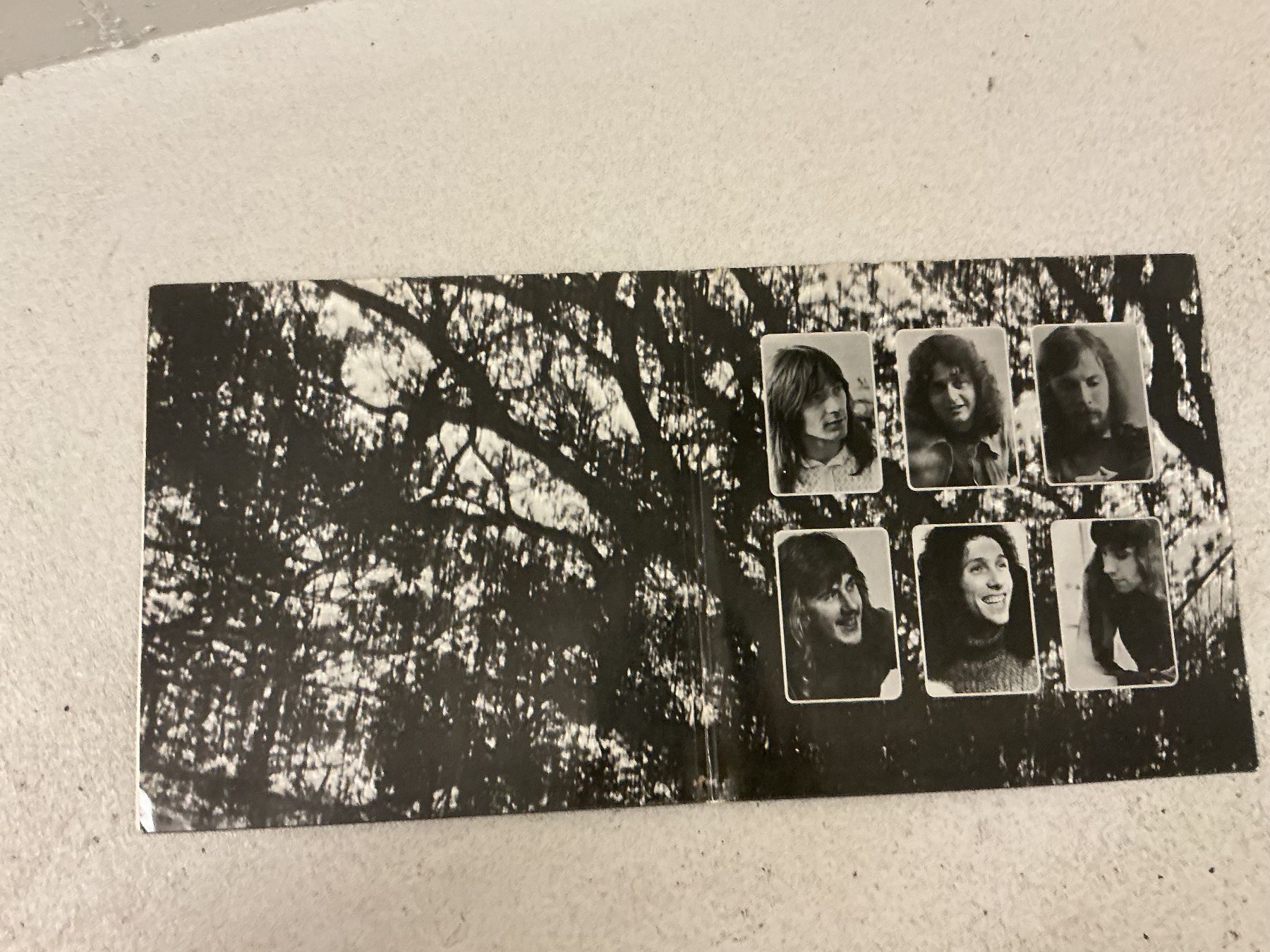 Dischi in vinile: Rare Bird LP - Epic Forest – Usato da Winterthur venduto da Tumko-Vinyl 1