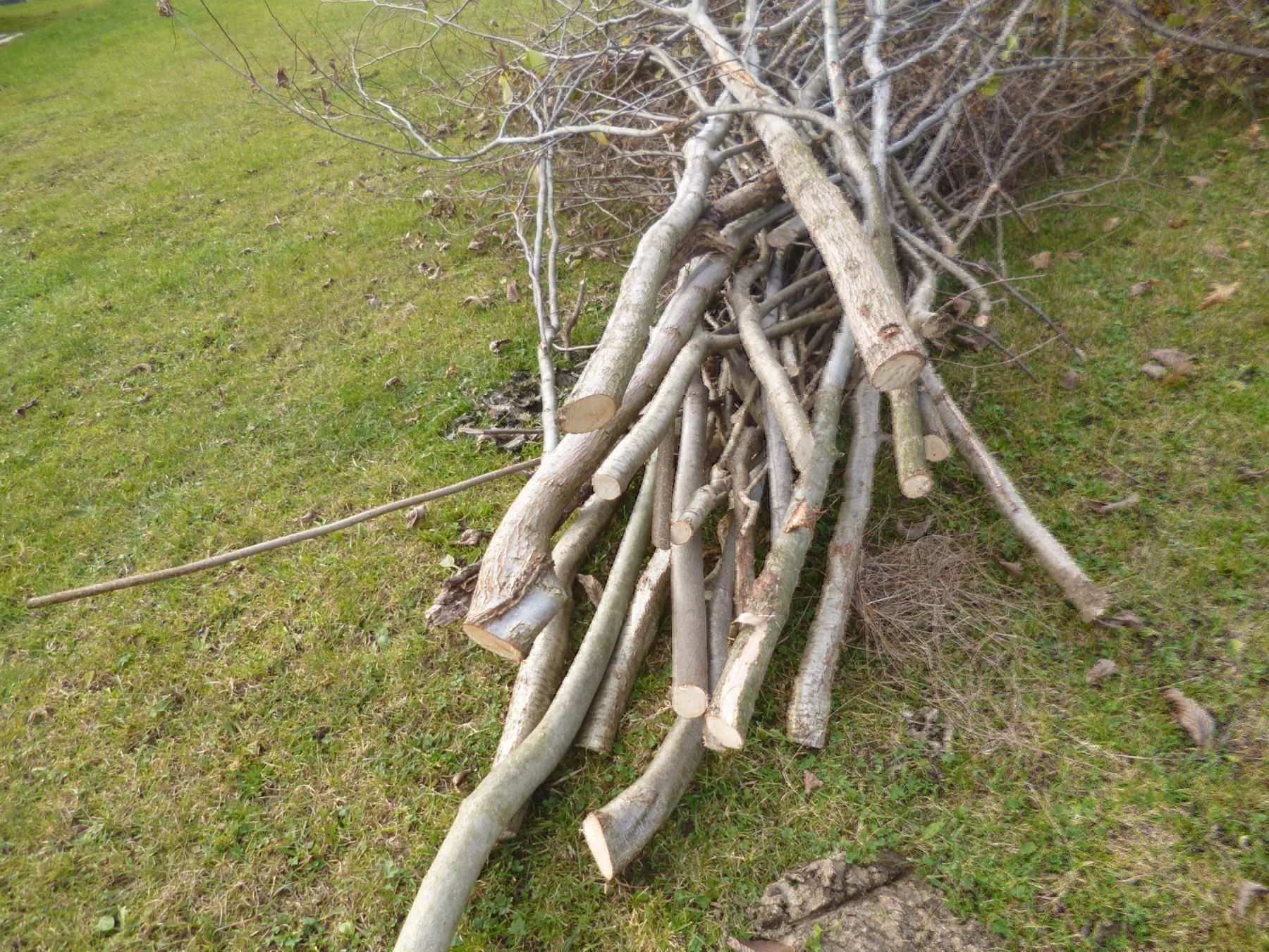 Tutte le macchine: Holzhacker mit Absackanlage – Nuovo e nell'imballaggio originale da Kastanienbaum venduto da acapulco 5