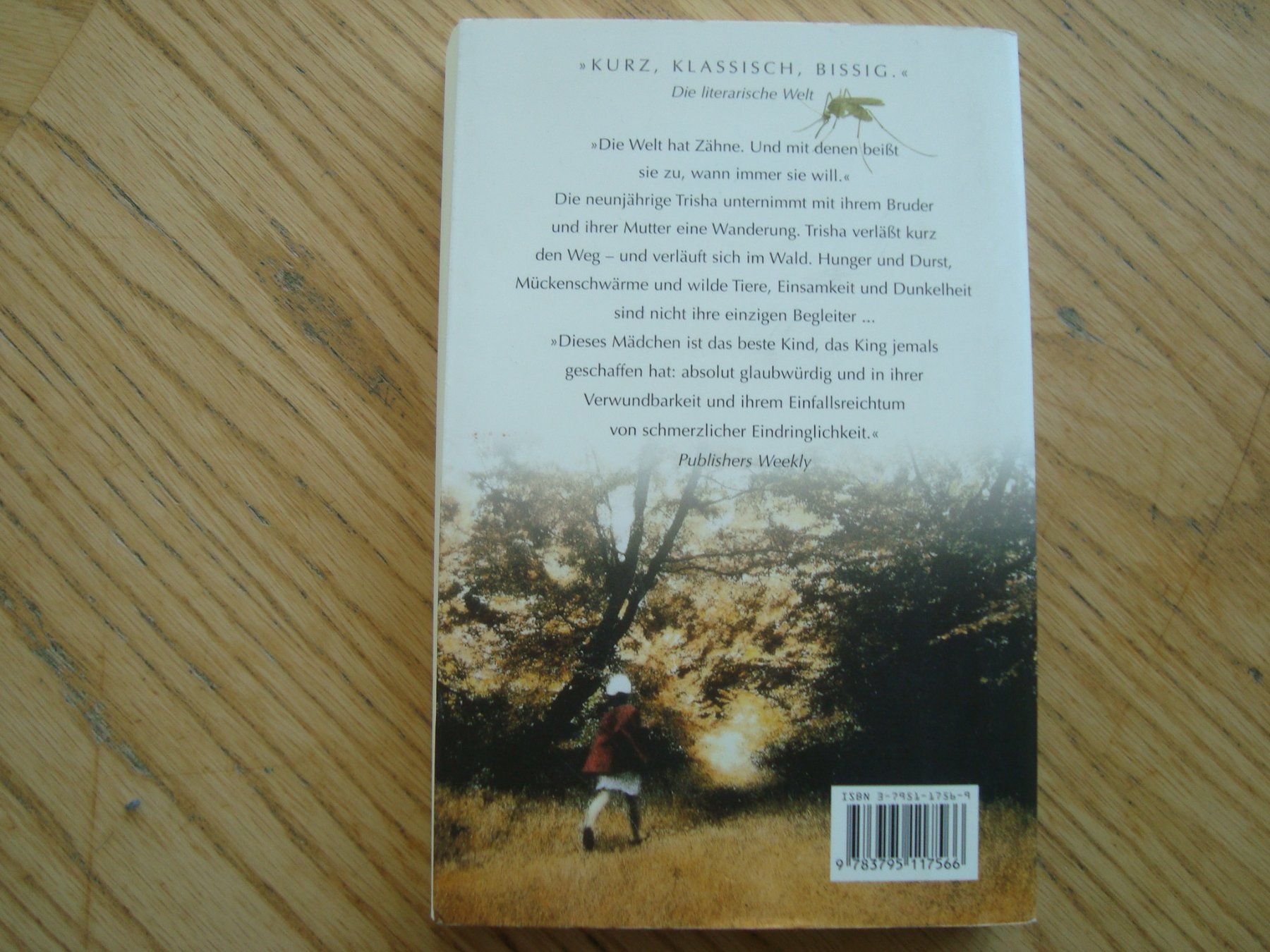 Libri: Stephen King (2 Bücher) – Usato da Aesch LU venduto da wysshan 2