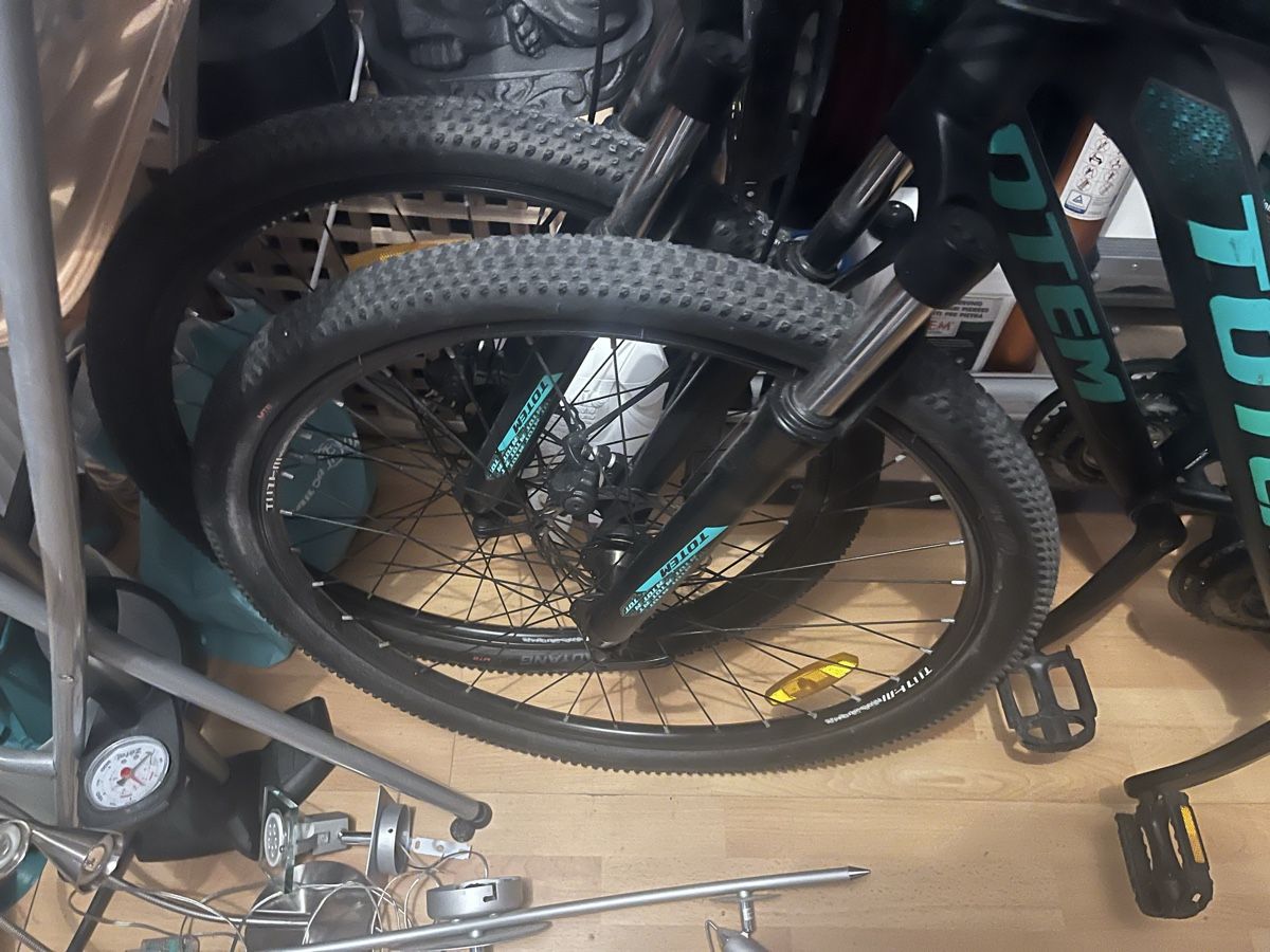 Totem Biciclette: Totem 29er Mountainbikes, Ride Lite Comfort – Nuovo (secondo la descrizione) da Gockhausen venduto da Lali013 2