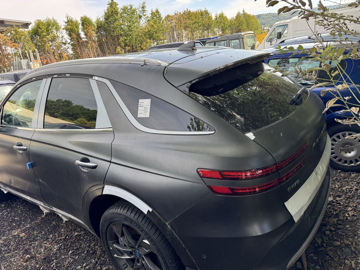 Genesis Automobili: Genesis Wasserschaden  – Usato da Winterthur venduto da Mudi.ti 1