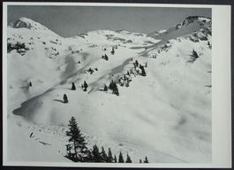 MOLLIS Schilt Ski-Aufstieg und Abfahrt