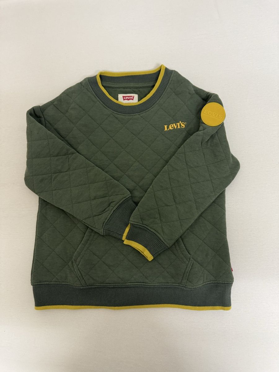 Levi's Kleiderpakete & -sets: Levi's Pullover und 2 Hemden Grösse 104 – Neu (gemäss Beschreibung) aus Oberengstringen von lor_8y27 1