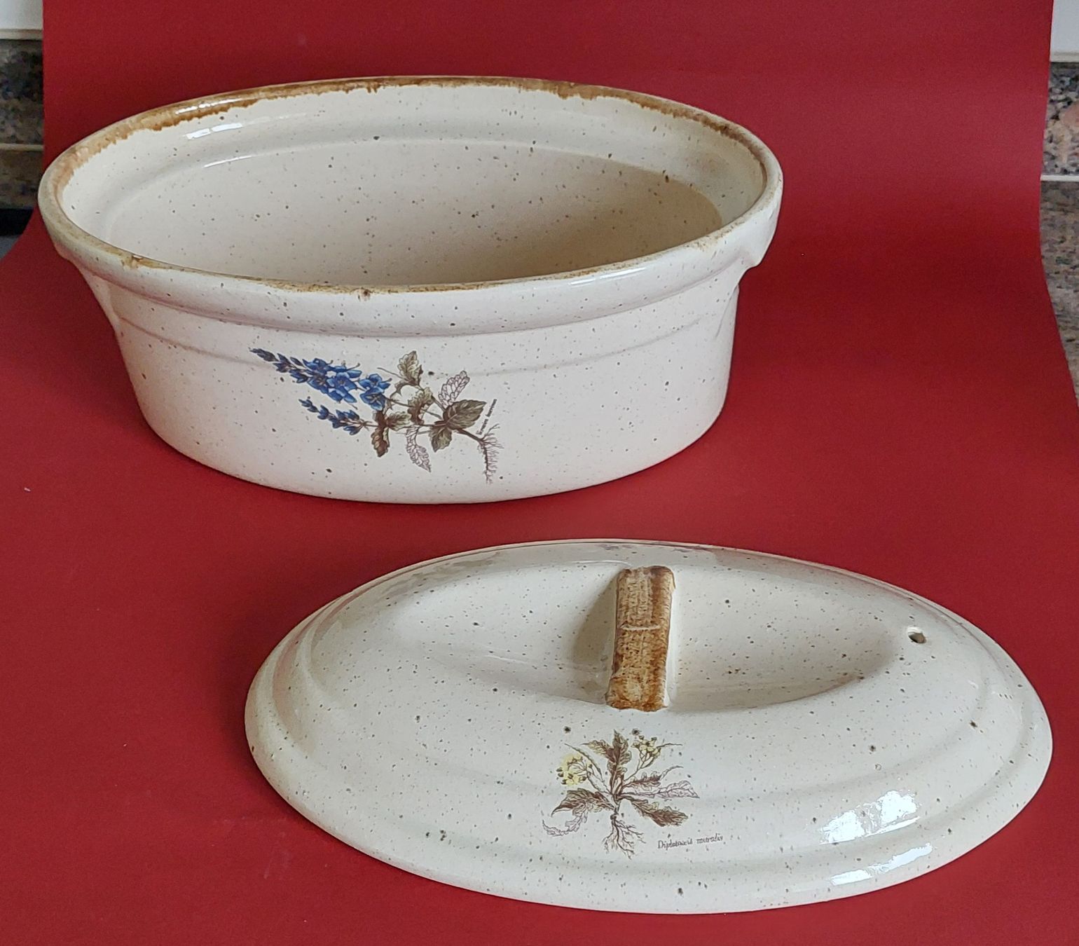 Elettrodomestici da cucina: Auflaufform mit Pflanzen bemalt. Mit Deckel. – Nuovo (secondo la descrizione) da Zizers venduto da Pinot55 6