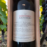 Sa, 12. Sept  🔵  VILLA ANTINORI Magnum - 600 Jahre
