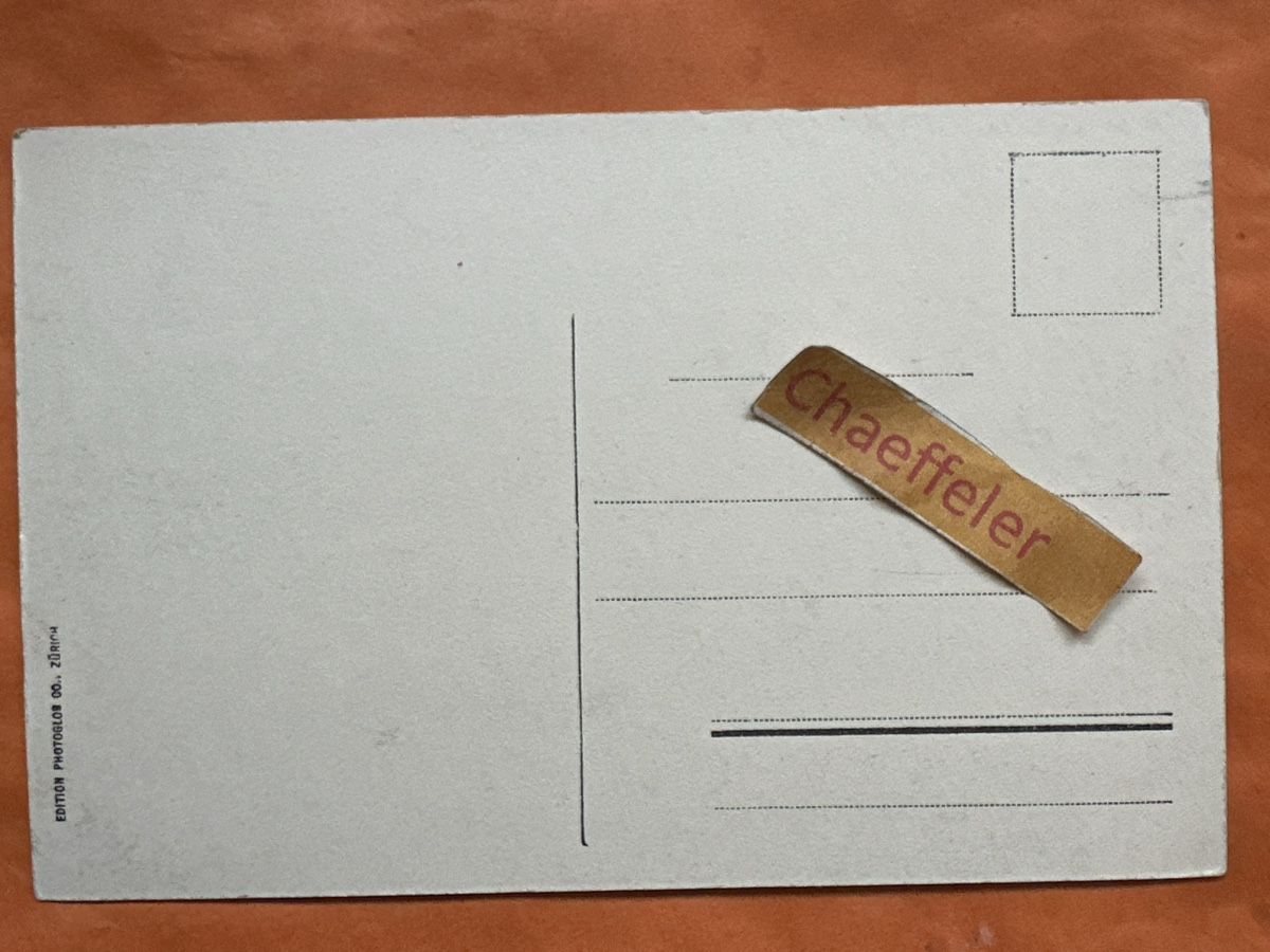 Cartoline postali: Originale alte Ansichtskarte von Lausanne, Schweiz! – Usato da Zürich venduto da Chaeffeler 1