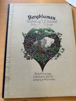 Ernst Kreidolf – Bergblumen Studien (Erste Folge) 1924