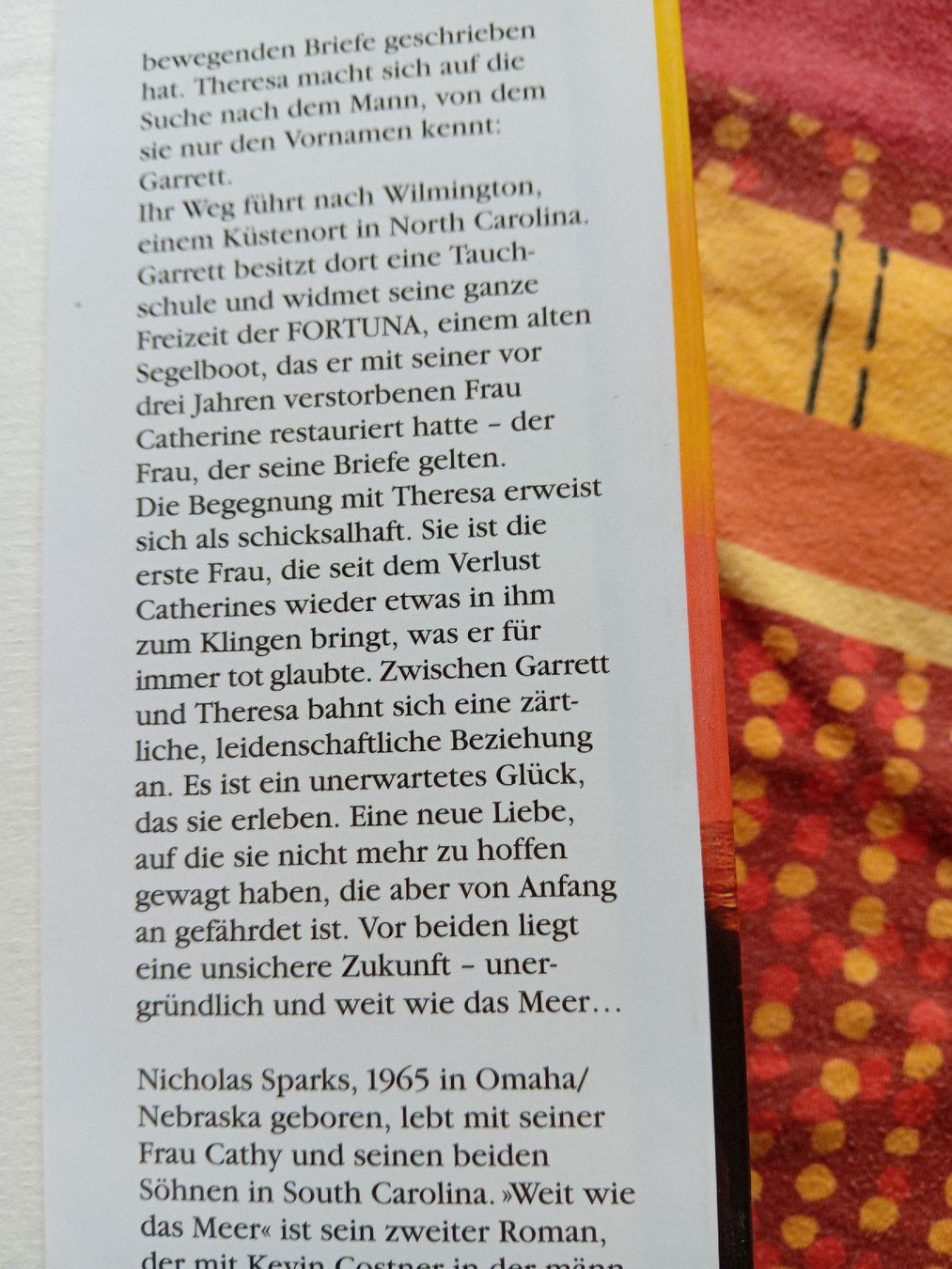 Libri: Buch: "Weit wie das Meer" – Nuovo (secondo la descrizione) da Witterswil venduto da hele04 3