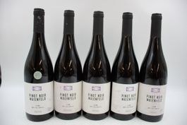 5x Pinot Noir Maienfeld 2023 - Rotwein (26060662Z)