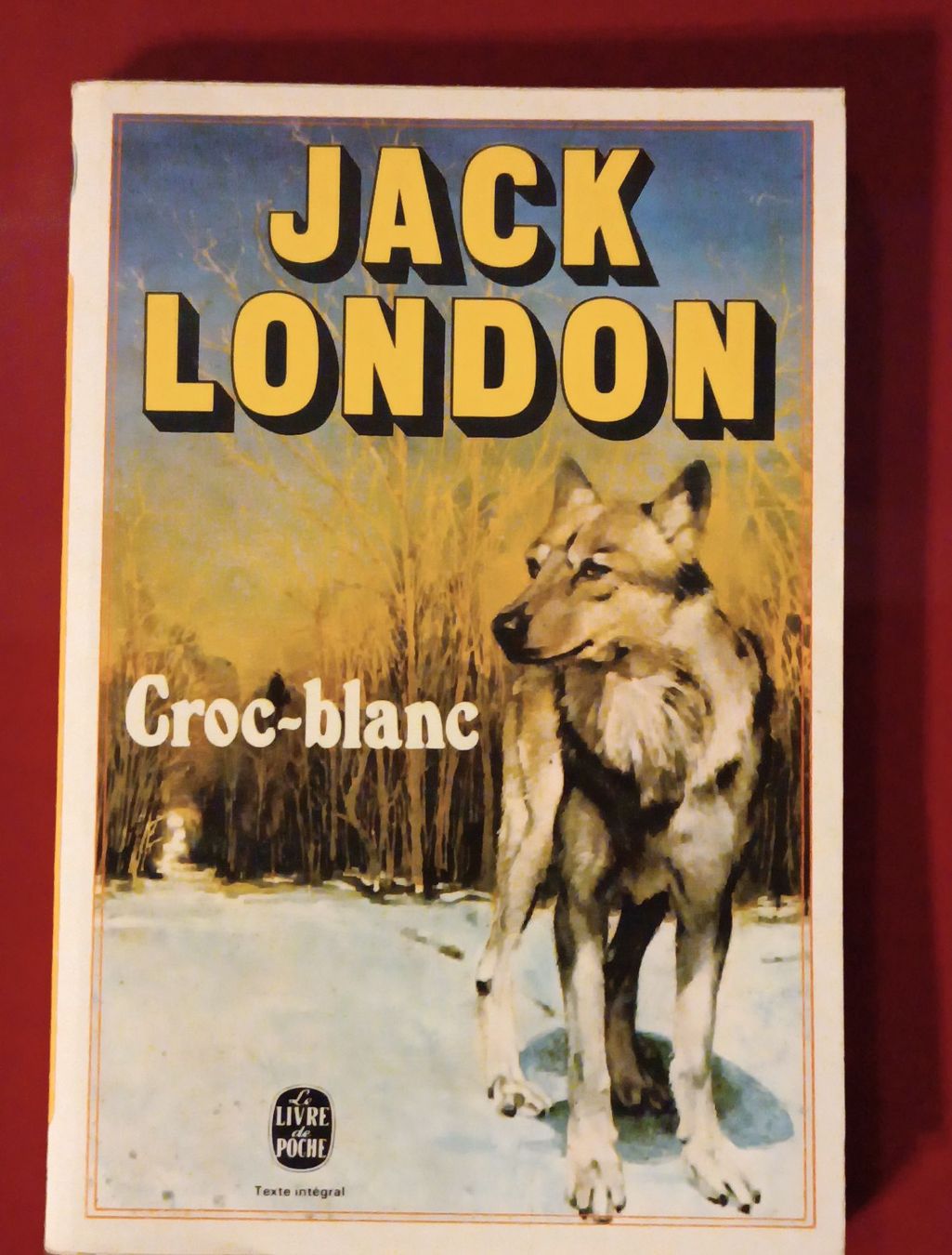 Libri: Croc-Blanc, Jack London 1979 – Usato da Cornaux NE venduto da Mimi983