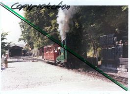 Brienz. Dampfzug Brienzer Rothorn Bahn. Lok 1. Foto!