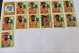Panini WM 2026 -Elfenbeinküste Set 13 inkl Wappen & Teambild