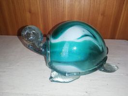 grosse Glas Schildkröte