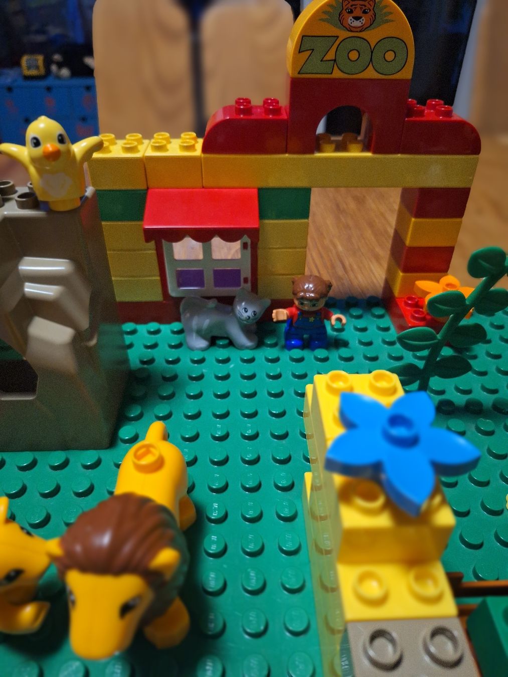 Lego Kit di costruzioni: LEGO DUPLO Zoo Spielset  – Usato da Winterthur venduto da pat.paw 2