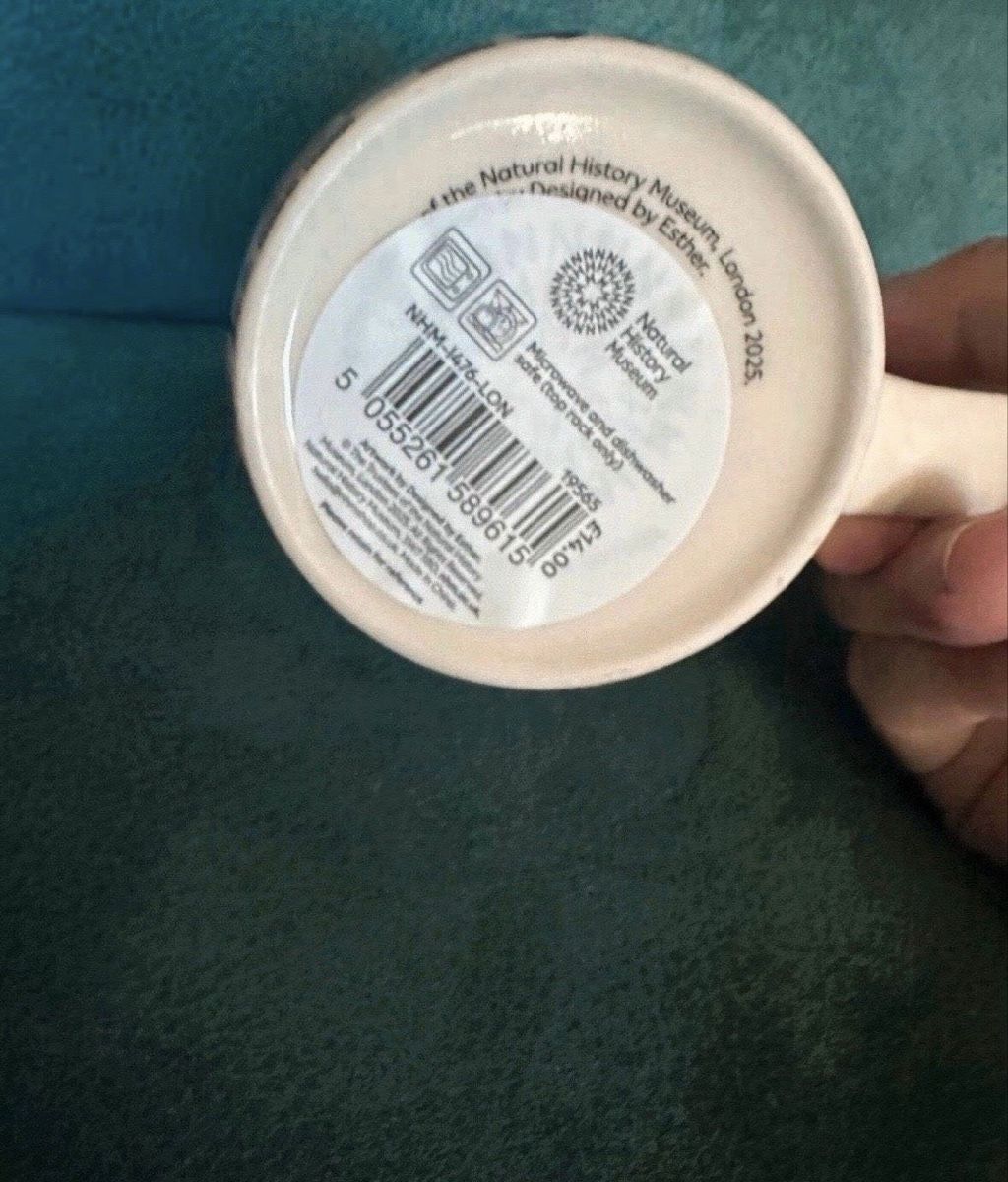 Tassen: Natural History Museum Tasse NEU – Neu (gemäss Beschreibung) aus Balgach von ren_xy57 2