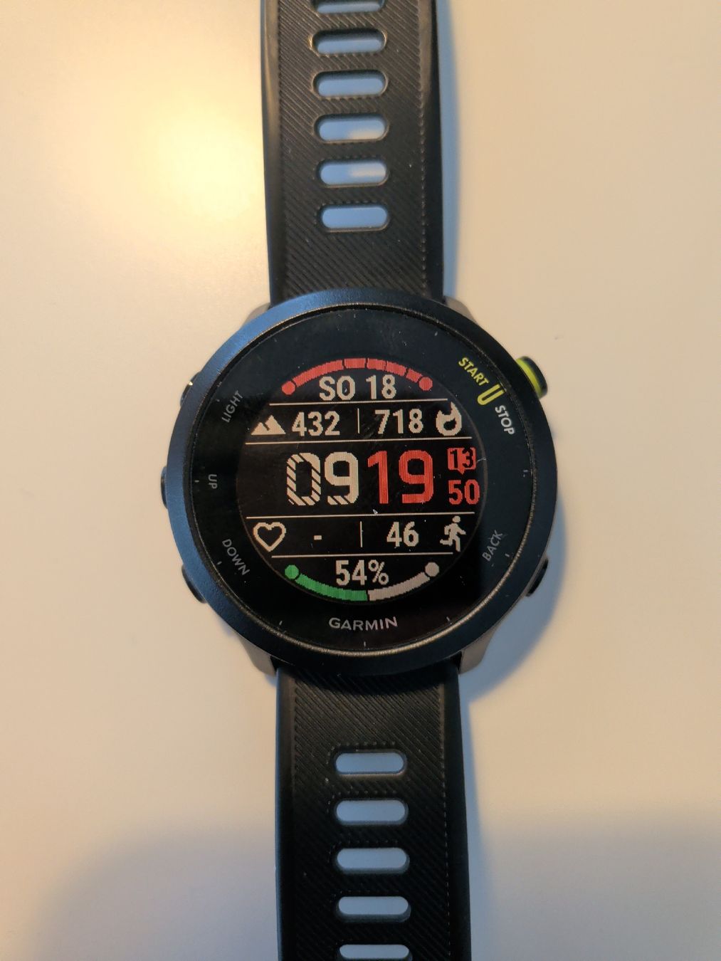 Garmin Smartwatch: Garmin Forerunner 55 – Gebraucht aus Olten von Musicmass0 1