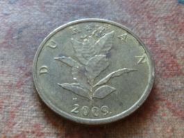 CROATIE   10  Lipa  2009