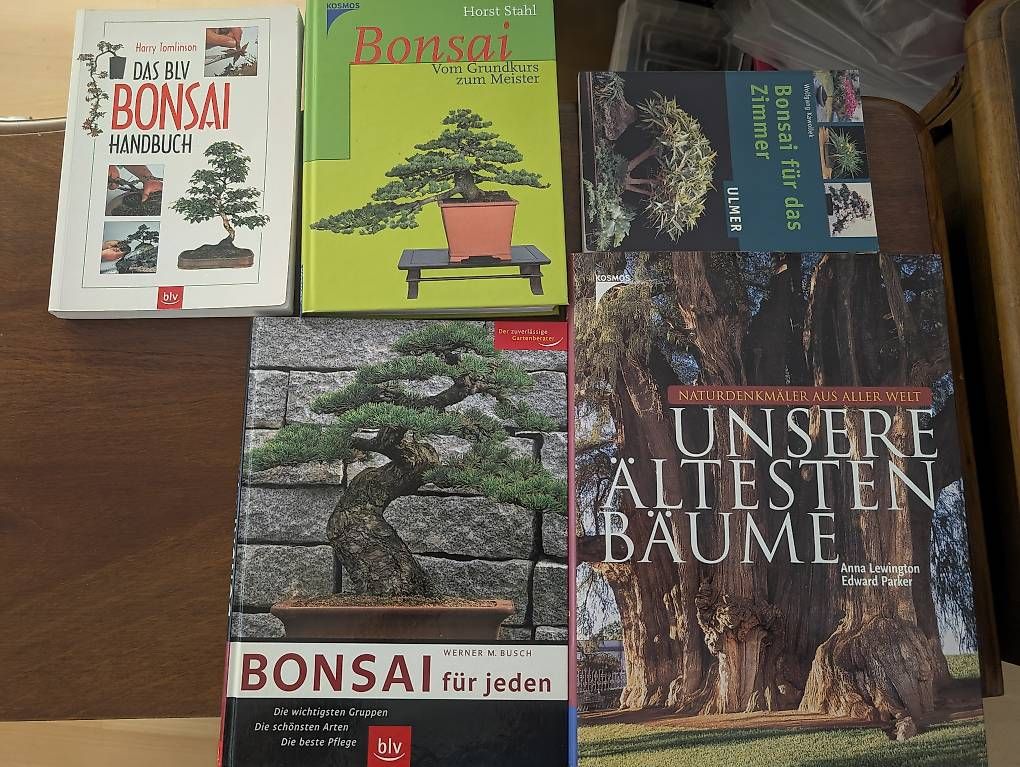Libri: Bonsai Bücher + Die ältesten Bäume – Usato da Tobel venduto da Streetfroggy