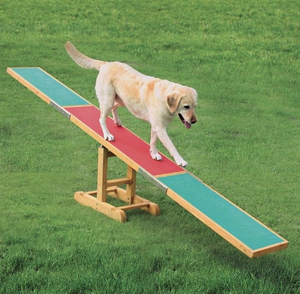 Trixie Spielzeuge: Agility Wippe – Neu (gemäss Beschreibung) aus Hefenhofen von Hallo5 1