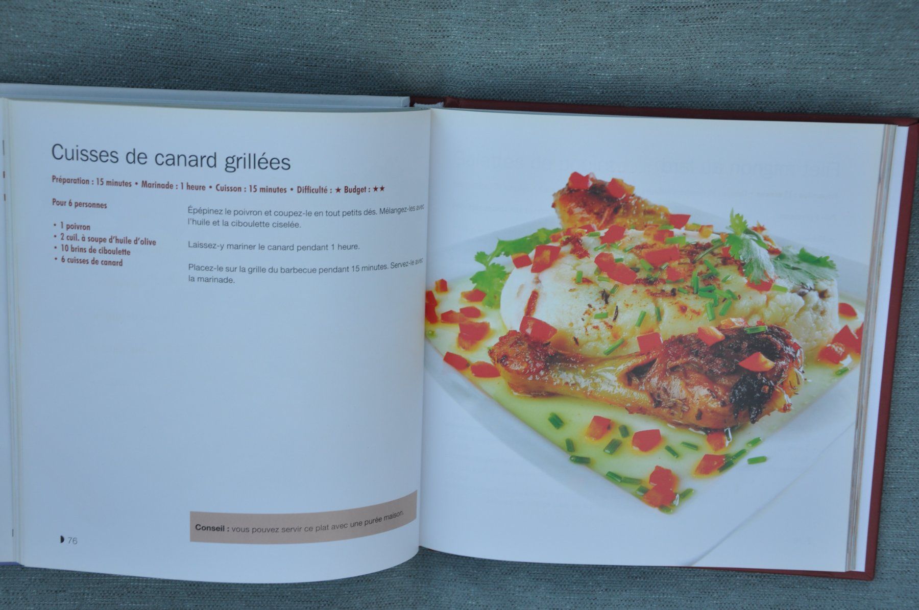 Libri: 140 recettes de grillades et barbecue – Usato da Fully venduto da Minouchka 2