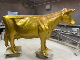 Holstein Friesian Kuh lebensgroß 3D HAEIGEMO® Milchrindrasse