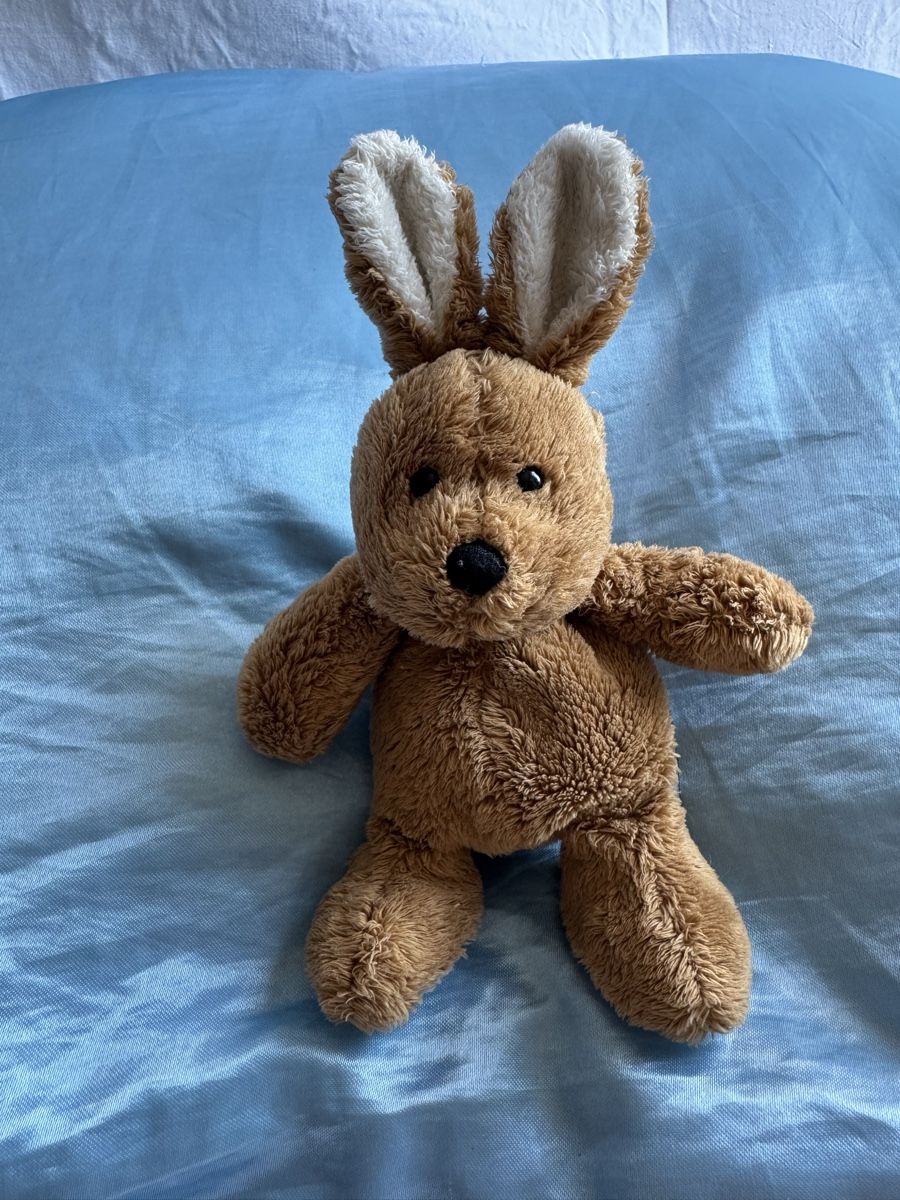 Jouets: Kleiner Plüsch Hase  – D'occasion à Bern par ava_l8tk
