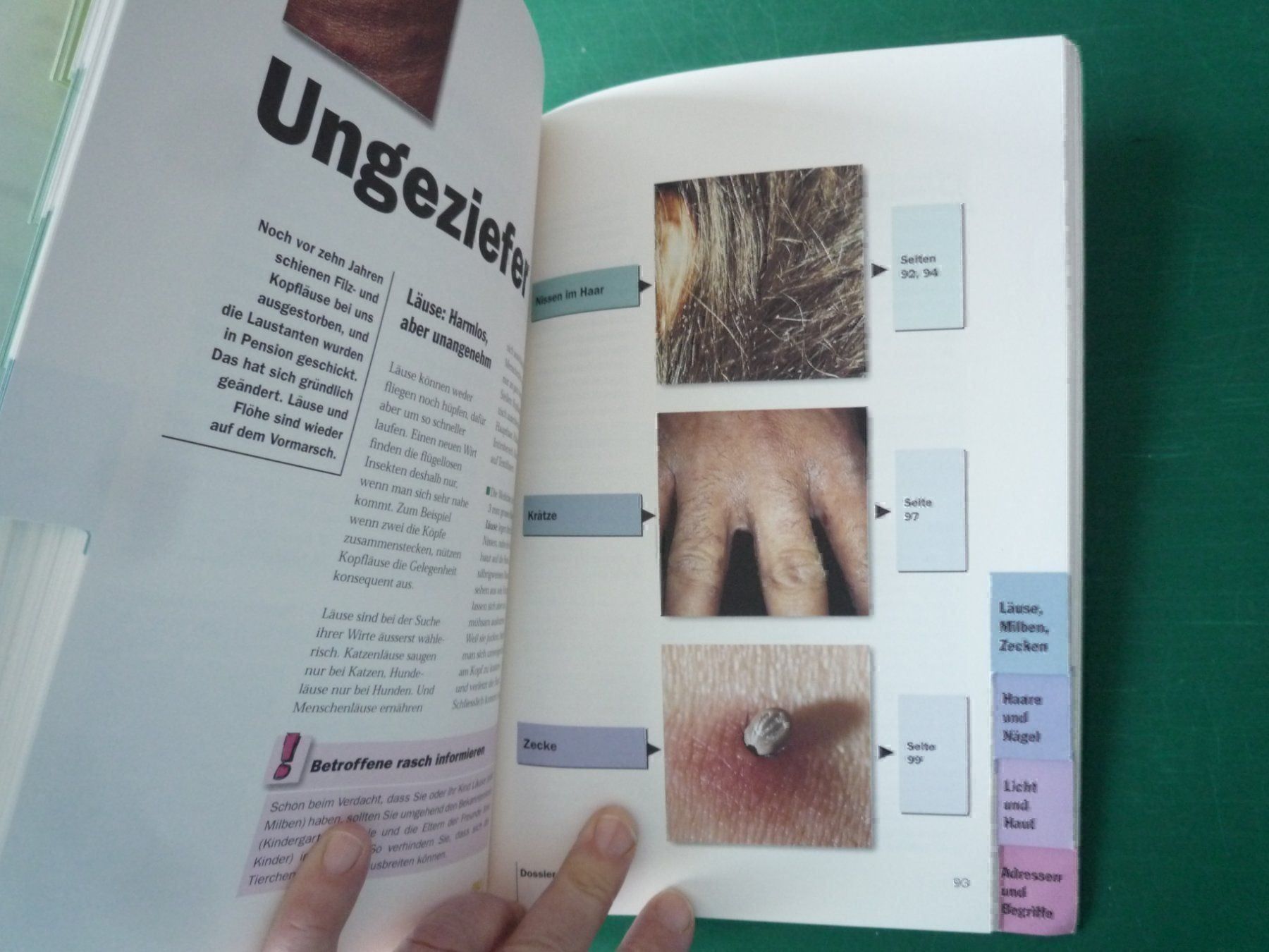 Libri: Gesunde Haut – Usato da Rafz venduto da Sonnenblume305 3