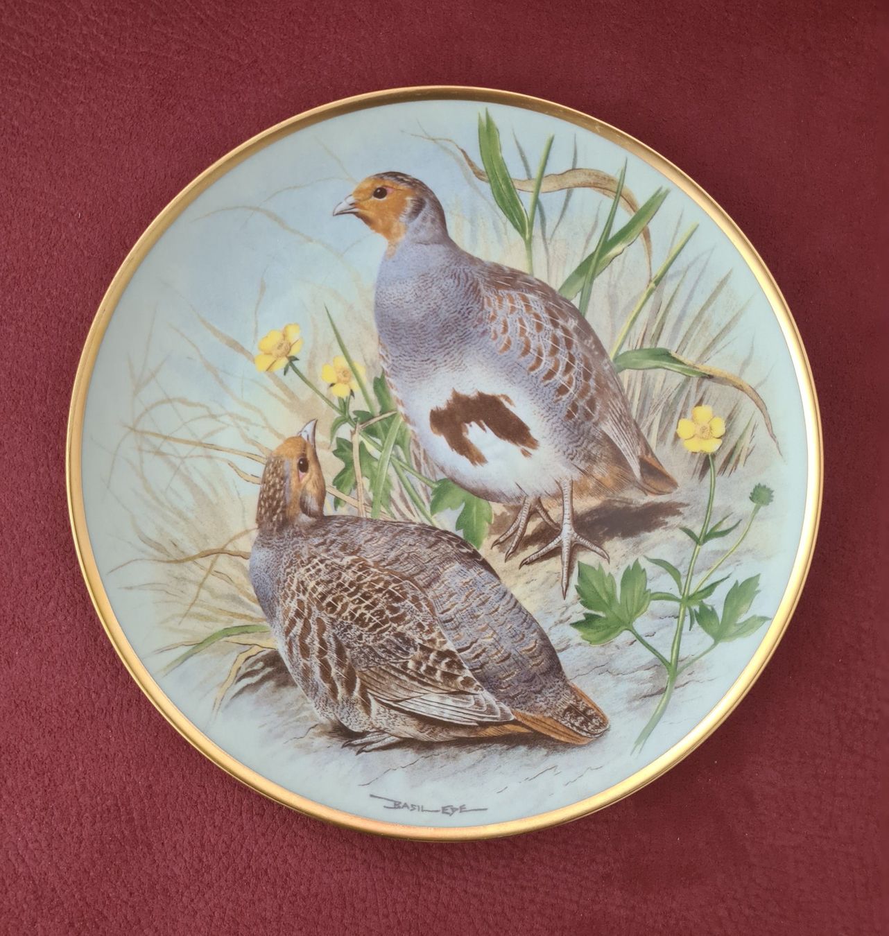 Franklin Mint Piatti: Franklin Teller Wildvogel der Welt Rebitter – Nuovo (secondo la descrizione) da Wangen b. Olten venduto da Lady59